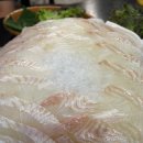 [후평동횟집/춘천회식장소] 스끼다시 맛집 &#39;그물에 걸린 바다풍경&#39;에서 배터지게 먹고 왔어요
