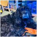 한대전자 이미지