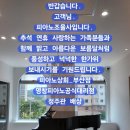 현동초등학교 앞 이미지