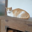 프라비타 민박 이미지