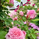 비엔베뉴 이미지