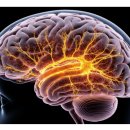 청솔동물병원 이미지