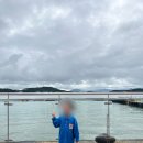 삼학도크루즈 | 목포 삼학도 크루즈