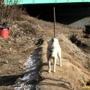 동백LPG충전소 이미지