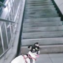 상꾸지놀이공원 이미지