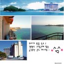 카스텍 Daum카페