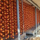 가척농장 이미지