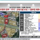 뉴블랑