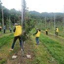 영중농장 이미지