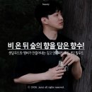 힐우드 | 깊고 차분한 우디 향수 추천! 912 엑스트레 드 퍼퓸 06. 힐우드 리뷰