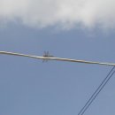 파란물가하얀집 이미지