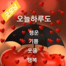 계천에서 용났다~~~다 이미지