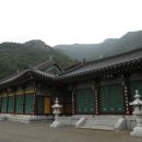 금오사 이미지