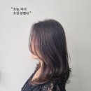 고향미장원 이미지