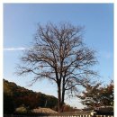 김명관 고택 | 고요한 시간 속 숨겨진 아름다움, 김명관 고택에서 마주한 마음의 평화 미정, 전라북도 완주