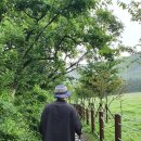 만물민박 이미지