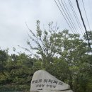 통일로 수영장 네이버블로그