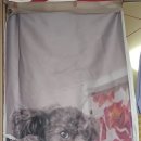 다올세탁소 이미지