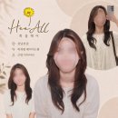 신논현역 미용실 헤어샵 추천 희올헤어 강남본점 근영 디자이너 레이어드 허쉬펌 솔직 후기 (+손질 방법)
