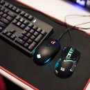 오셀롯PC 영통구청점 이미지