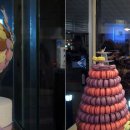 제이브라운 이미지