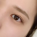 로데오로(1) | 압구정로데오 모아샵 인생 첫 속눈썹 연장 후기