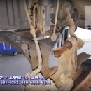 중앙경정비 이미지