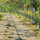 대청호오백리길 두메마을길 이미지