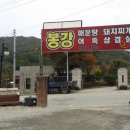 봉강매운탕
