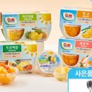 볼코리아 이미지