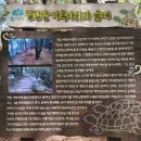 247차 2026년3월28일(넷째주토요일) 칠갑산(561m) 산행 이미지
