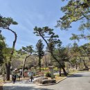 삼육탕 | [부산/차박여행 120] 부산 대표사찰 금정산 범어사 봄풍경 여행 범어사 산책코스 일주문 천왕문 보제루...