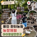 삼육영농조합법인 2농장 | 용인 한터농원 입장료 동물먹이 체험 아이랑갈만한곳