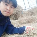 볏짚농장 이미지