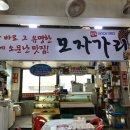모자가리비 이미지
