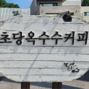 종우개발 이미지