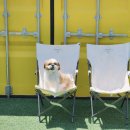 포스앤네이처 펫살롱 이미지