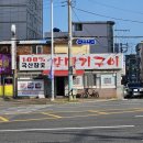 갈메기구이 | 울산 중구 반구동 갈메기구이 내돈내산솔직후기 갈매기 보다 닭목살이 더 괜찮은데요..?