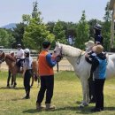 렛츠런파크 부산경남 이미지