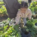 트리플농장 이미지