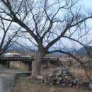 가회면사무소 이미지