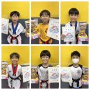 은평 백호 태권도장 이미지