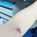 혈도농장 | [일상] 우울할땐 맛난거앞으로 좋은사람들과 함께