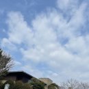 419 당구장 | 해남 파인비치 골프링크스 라운딩 후기 1일차 : 2022년 가장 가고 싶은 골프 코스 Vol. 1