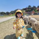 벽소령 펜션 이미지