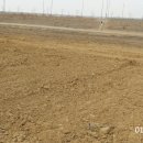 장곡농장 이미지