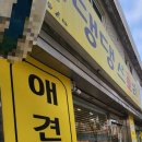 댕댕스토리 이미지