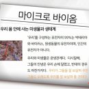 지아이코리아 이미지