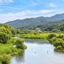 태안사 야영장 이미지