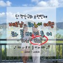 솔직후기_투어 일정, 이동시간, 날씨, 점심후기_다금바리회 승솟동굴, 티톱섬, 항루원-원숭이, 대나무...